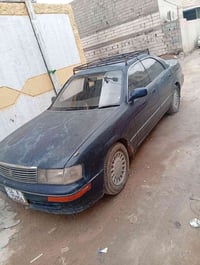 بطه • ١٩٩٢ • مكفولة اصوليات