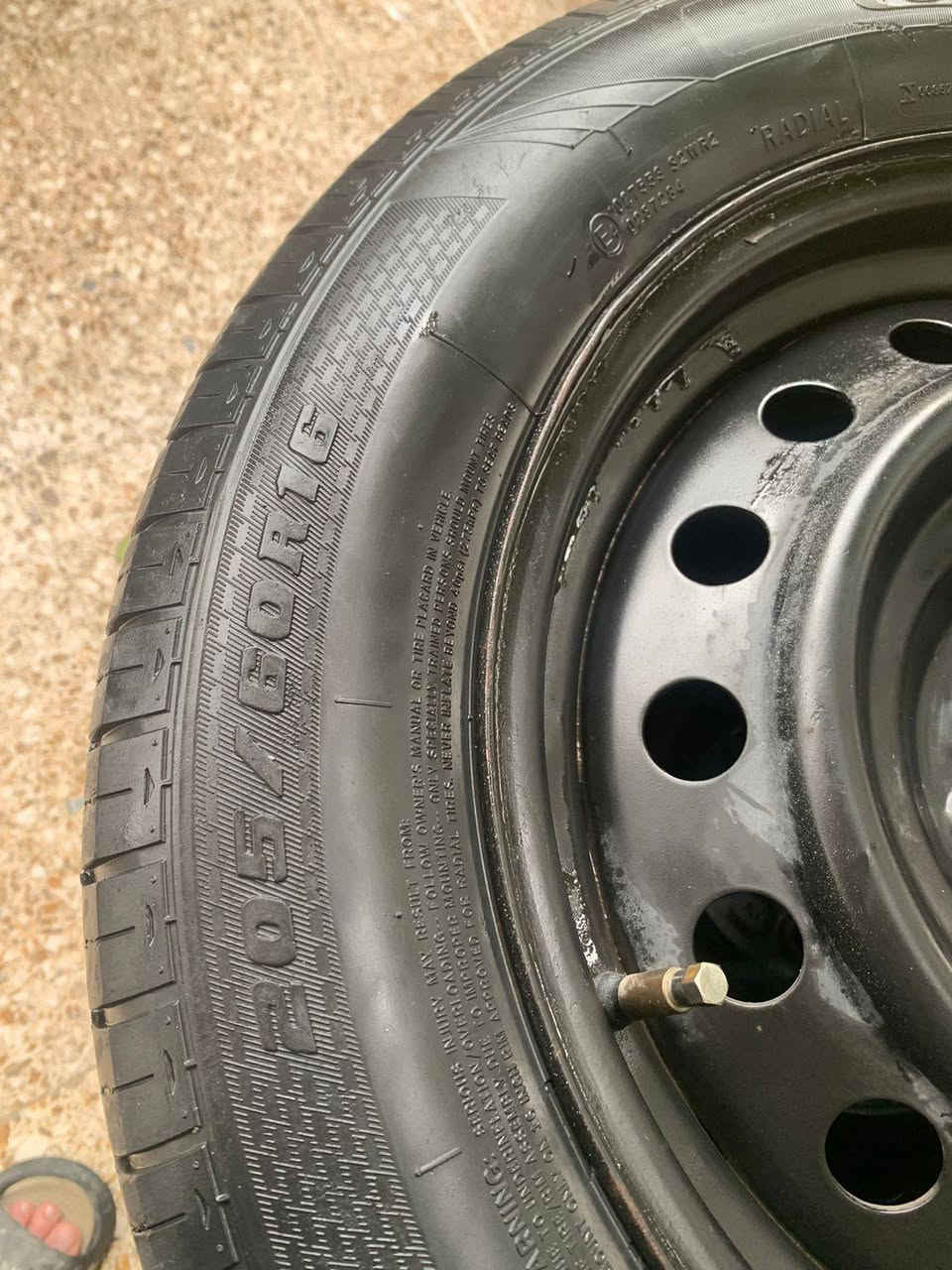 للبيع او مراوس تخم ويل  حجم 16 /60 جاهزات بس شد السعر ١٦٠ الف وبي مجال شراي تعال أخذهم *********** وتساب
