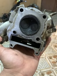 كور ولفين • مراوس • كبار