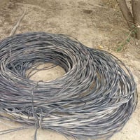 ضفيرة • ١٠٠٠م • أبو٢٥