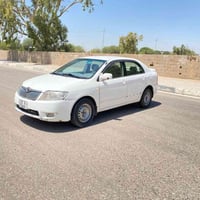 كورلة بيكاتشو • ٢٠٠٦ • كربلاء