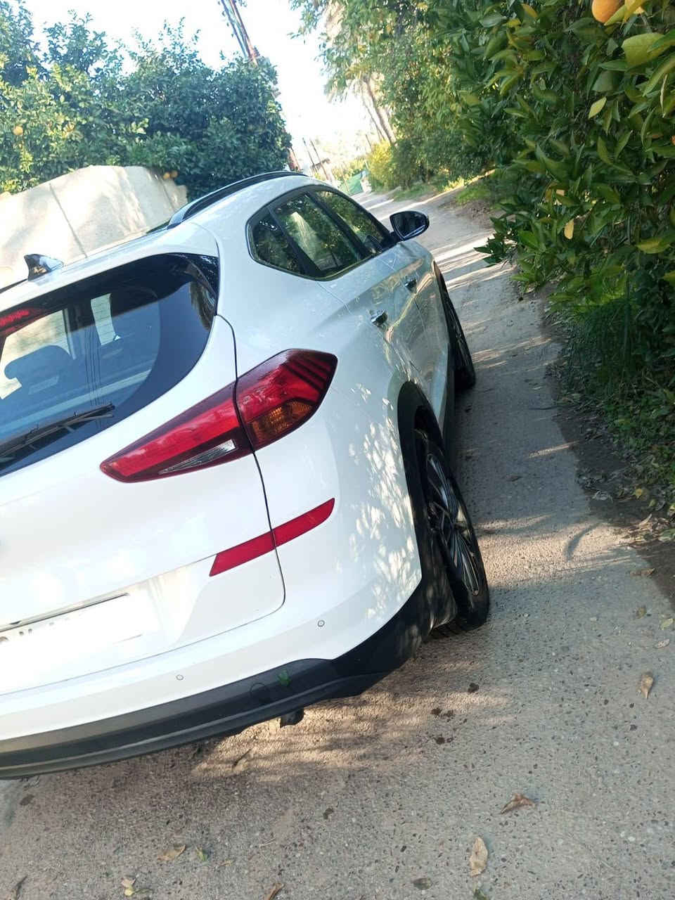 سلام عليكم
توسان موديل 2020
كير مكينه تبريد كفاله
تخم تاير صدر كامله
فول مواصفات
تحكم ستيرن
بانوراما
شاشه وكامره
حساسات اماميه خلفيه
كشنات كهرباء
كامله مكمله مابيهة نقص لو برغي
رقم اربيل بسمي شخصيا تحويل اذا تريد بنفس اليوم
السياره وارد خليجي
بيهة بس البنيد بي بارد ومصبوغ جزء منه
وشخط صغير بالباب لا معدله ولا ماثر عل صبغ وهم راح انزل صورتة
السياره مداراية علة اخر حبايه مكانهة بغداد المشاهدة
سعر 205 وبيه مجال بسيط للشراي
اتصال عل رقم او خاص
***********
