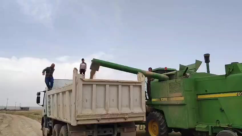 جوندير اوروپي منفيس 
موديل 1991 
***********
