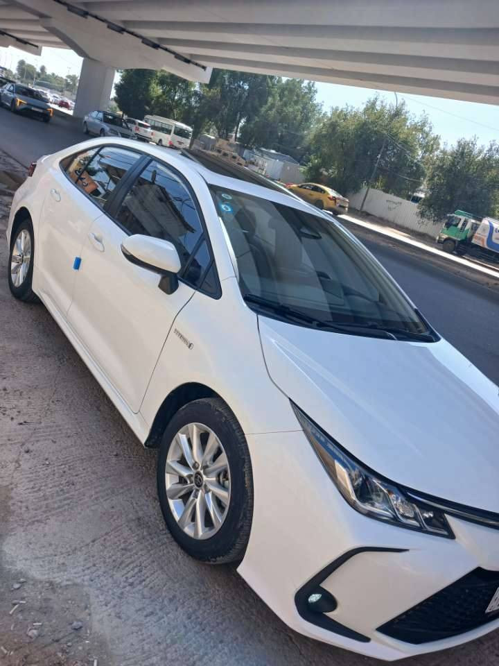 سلام عليكم كورلا مديل 2024 السياره مكفوله من صبغ وبارد وتبديل ماشيه 8الف حقيقي السياره مدوشمه ارضيه جلد سياره بعدهه على وضع الشركه رقم بغداد بسمي السعر 142وبيه مجال المكان بغداد الدوره ابو طياره رقم الهاتف ***********
