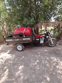 ستوته • ٢٠٢٣ • سنوية