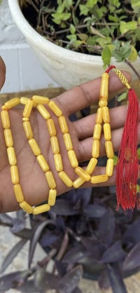 كهرب بولندي • ١٨غ • ٣٦حبه