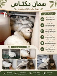 سمان • تكساس أمريكي • ناحية الزاب