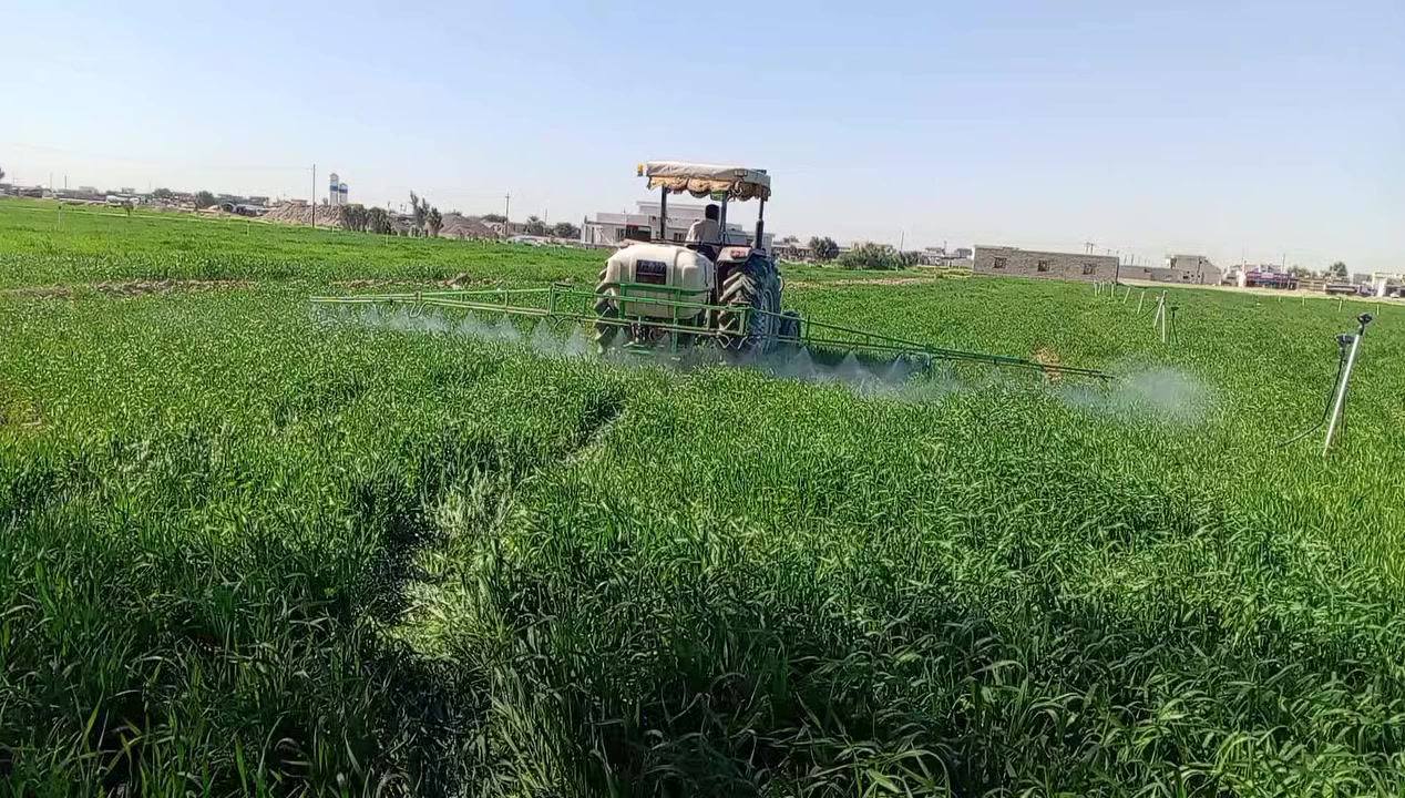 يوجد رش مبيد العلم الرقم ***********
