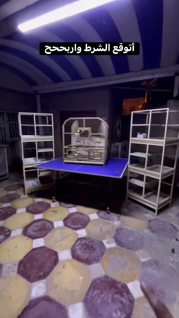 #مسابقة استغل الفرصه واتوقع الشرط ومبارك عليك الفوز 
 #اقفاص


**إذا كنت صاحب هذا الإعلان وتريد حذفه لأي سبب، رجاءا أرسل رسالة إلى الدعم الفني**