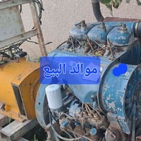 مولد دويز • نضيف • كنعان