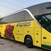 سعد الخطاط🫡 يدلل علينه حجي انمار او حجي كرار الامي عمل رسمه ايطاليه 💯و...