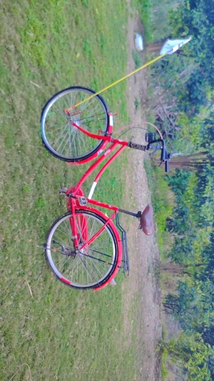 باسكل للبيع رقم الهاتف ***********
