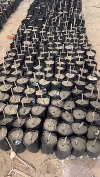 عقل فواكه • مستوردة • عالي الإنتاج