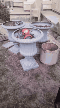 للاستفسار خاص ***********
