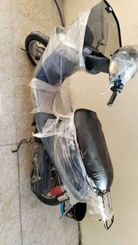 دراجة منغولية • جديدة • نجف قرية الغدير الأولى