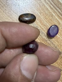 ياقوت احمر افريقي • سليماني احمر • جمشت