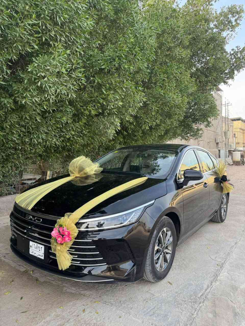 الســــــــــــلام علـــــــــــــــــــــــــيكم بي وايدي دسترويل 2025 بدون رقم تترقم بصره رقم مجاني ع دوله بس رسوم ورقتين سياره جديده ماشيه 2500 كفاله من زلغ لون اسود داخل ملكي ابيض 126 مكاني بصره
الشراي يتصل او وتساب لاتراسلني وتكلي شبيها ثواب الاهلك *********** البصرة, العراق
