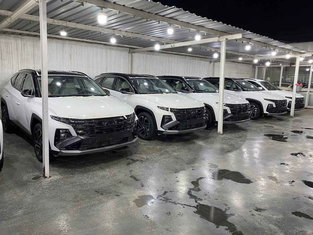 السلام عليكم 

توسان 2025 زيرو مرقم بغداد لوحة وسنويه

الموصفات قماره ابيض 
كشنات تبريد كراسي 2 كهرباء 
باب كهرباء ويل 19 حساس 
السعر 35/200 
عراقي مرقم وجاهز 

توسان 2025 تو كلار قماره اسود 
كراسي كهرباء حساس باب كهرباء 
السعر 35/400 عراقي 
مرقم بغداد لوحة وسنوية 

توسان 2025 توكلار قماره اسود 
كشنات تبريد ويل 19 باب كهرباء 
كراسي 2 كهرباء 
السعر 35/900 عراقي 
مرقم بغداد لوحة وسنوية 

السيارات ضمان 5 سنوات 
60 الف كيلو 

اتصال 

***********
