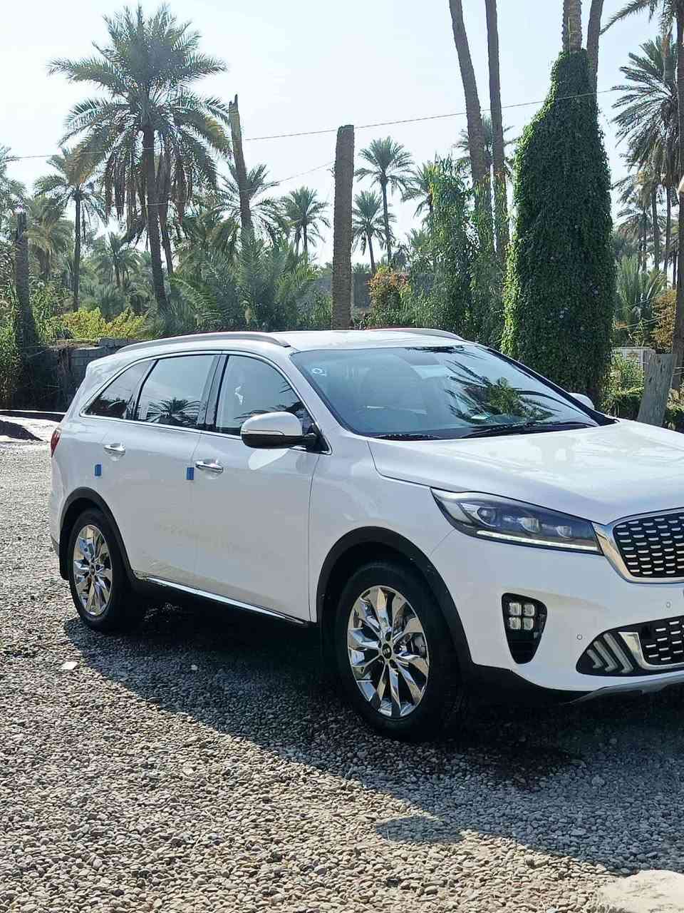 السلام عليكم 
سورنتو موديل 2019 شكل 2020 خليجي 
فول مواصفات عده البانوراما 
مكينه 6 سلندر جنطه كهرباء 
مكفوله كفالة عامة من الصبغ والتبديل 
رقم بابل انكليزي بأسمي 
سونار مرفق مع المنشور 
السعر 252 بيها مجال بسيط 
مكاني كربلاء الحسينية 

***********
