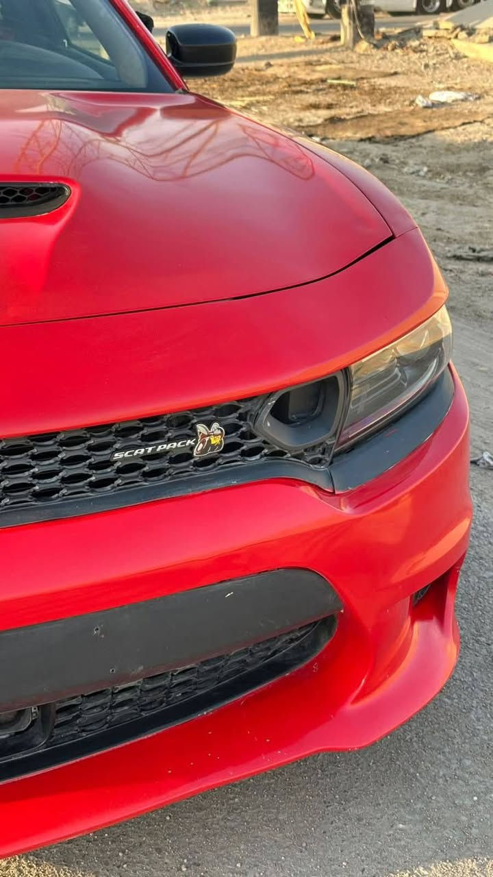 من رخصت مدير وان شاء الله رمضان كريم دوج شارجر مديل 23 اصل ما مرقم ترقم جميع المحافظات  السياره طاب حادثث
سكات باك 6/400

السياره حلين كلمه وعليه نصبه حلوه 

الون مميزه طماطيه

مكينه + كير كارتون بعد مال 23 

السياره متروكه لا طلعين بيها ولا شي من امريكه صلحت بالعراق. وسبب ضروف الماديه ما كدر يرقم راعيها

حلين السياره بالبصره بالكرنه موجوده 

اخوان السياره 155 وبيها مجال شي غليل حك جيه لاحد يكسر ب حلال الناس ورزق على الله. سكات مديل 23 بسعر 155وبي مجال غليل.  الحدث موجود  ملتها مرفوق بالصوره  ترهم مراوس وبيع. وشراي يتصل ع هذا رقم ويدالل يجي ويشلع عيونا بعد  السياره طرب مكينه بيها هاون بلكارتون وين ما يعجبك طلع وسافر فقط دهن بانزيل والي ياخذها يعدل بيها  ما يخسر ***********
