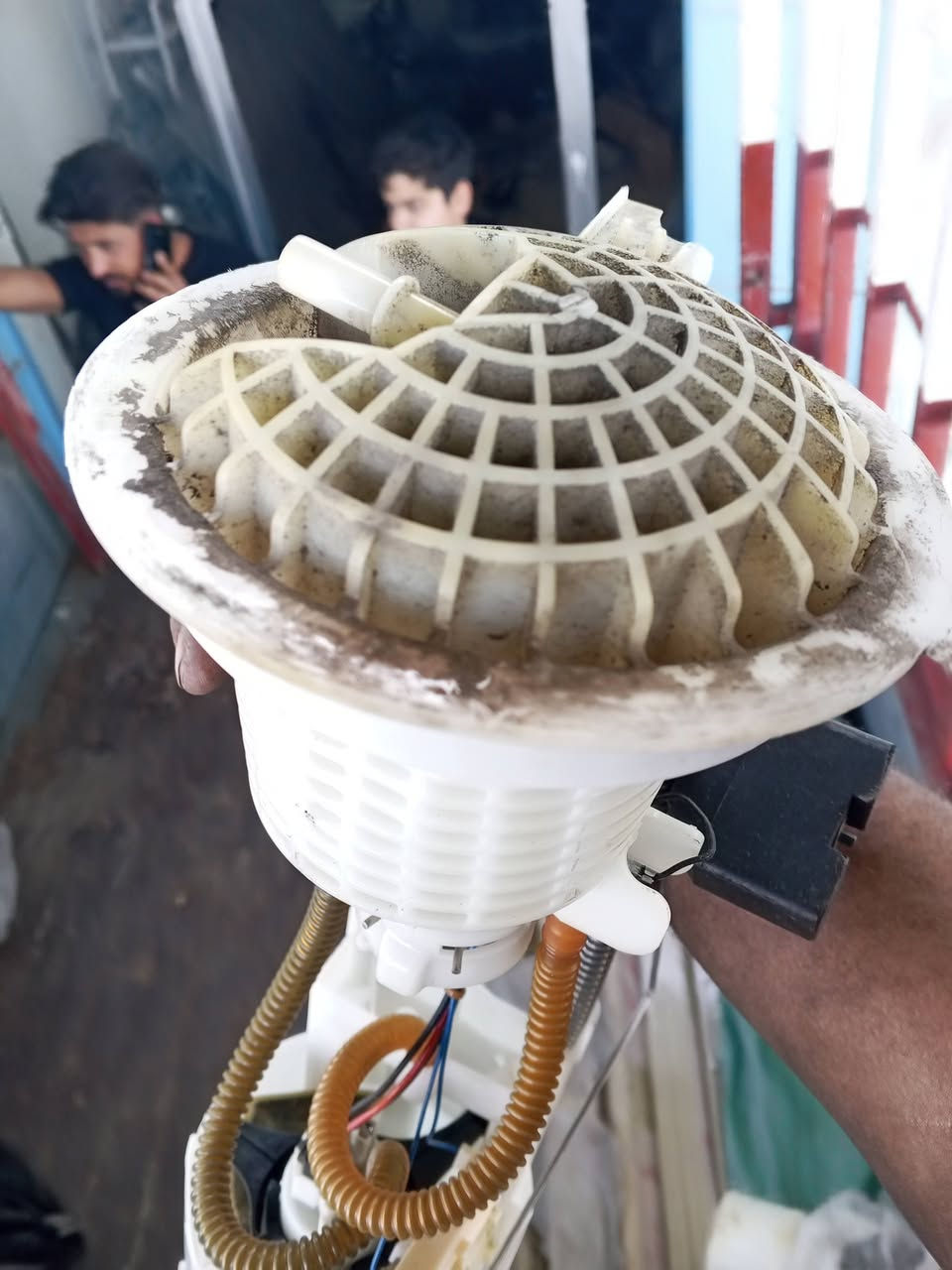 قواعد فيت بم موستنك وجارجر شالجنجر جيب شيراكو
وتساب للتواصل ***********
