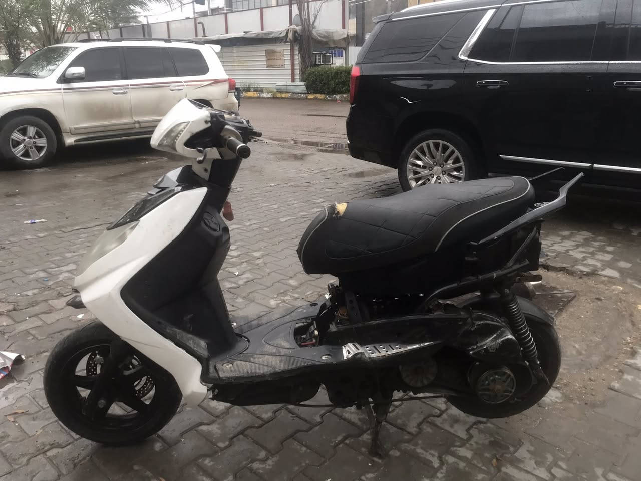 سلام عليكم سكنس فحل نوزل مكينه 63 فشك محفوره 66 كور صليب روله جبيره ذراع طويله بيها تعلاوه خفيفه جويتر كوسو34 منضومه كامله نوزل 10 زرف كوسو كلجات مطابقات صالنصه ماركه اجت بيها مناك دراجه قويه كلش نقوصاتها مبينه بالصور وبيها فيت بم ضعيف الدراجه نكره وصافيه عنوان بغداد الشعب حي اور *********** سعر 700 بيها مجال
