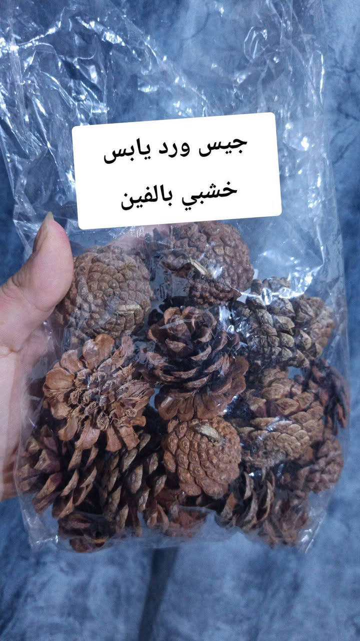 مكانهوورديه توصبل متوفر


**إذا كنت صاحب هذا الإعلان وتريد حذفه لأي سبب، رجاءا أرسل رسالة إلى الدعم الفني**