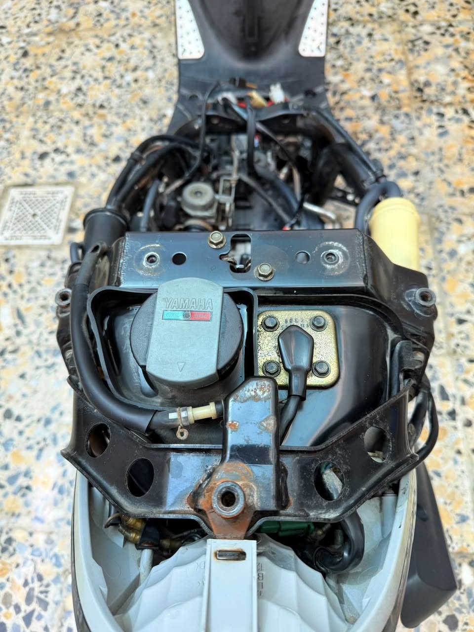 دراجه ماكس لبيع سعر خاص


**إذا كنت صاحب هذا الإعلان وتريد حذفه لأي سبب، رجاءا أرسل رسالة إلى الدعم الفني**