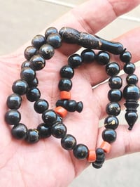 مرجان أسود • بحر أحمر طبيعي • ٣٣حبة