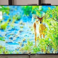 شاشة ٦٠ • ذاكرة ٥١٢ • سوق بلي