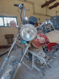 جوندا • مرقمه • شغاله