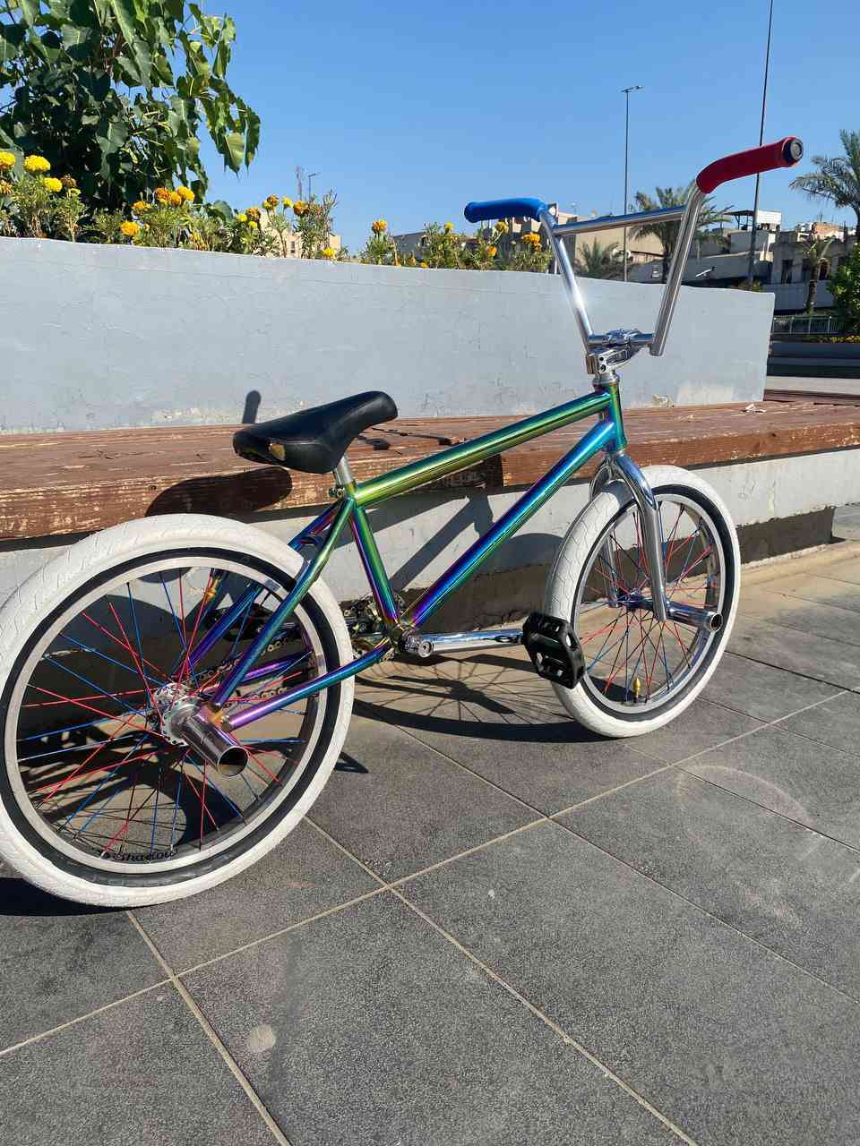 للبيع bmx  نفس ما شوفون قطعه نادرة تخبل عليه غراض يخبلن
تفاصيل 
طواكه شادو 
طوبه امامي شادو 
طوبه الخلفي أوتو شادو
ركبه ساندي 
سكان أربع قطع استيل 
كفات كولت 
ذراعات شادو 
قرص مدرع شادو
سرج.كولت 
حمالات شادو استيل 
ماشه كولت 
كل قطع لي ذكرتهم مختمات 

👇👇
بغداد بلديات ***********
