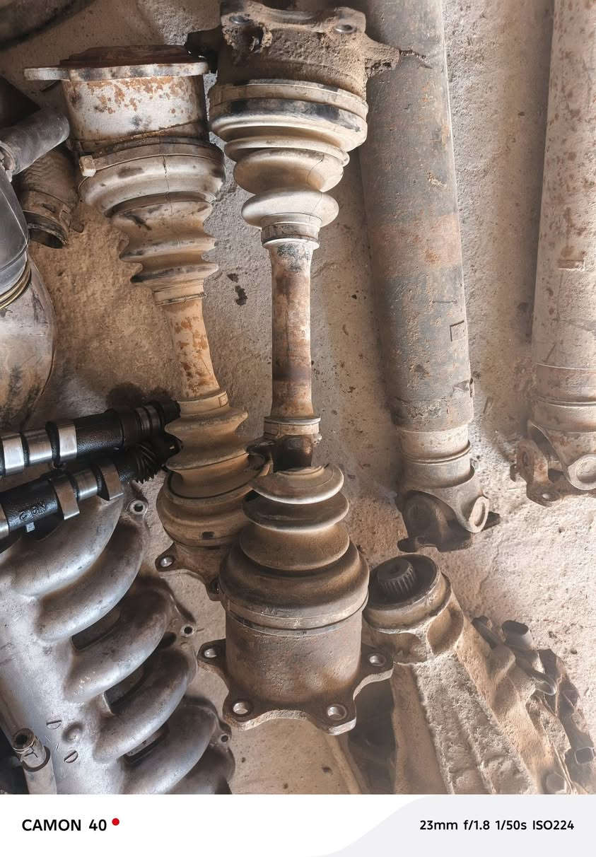 تفصيخ شتريد موجود شرط كله مناسب تنزيلات بس الماعنده خوكم باقر الياباني العنوان ميسان قضاء كميت الهاتف ***********
