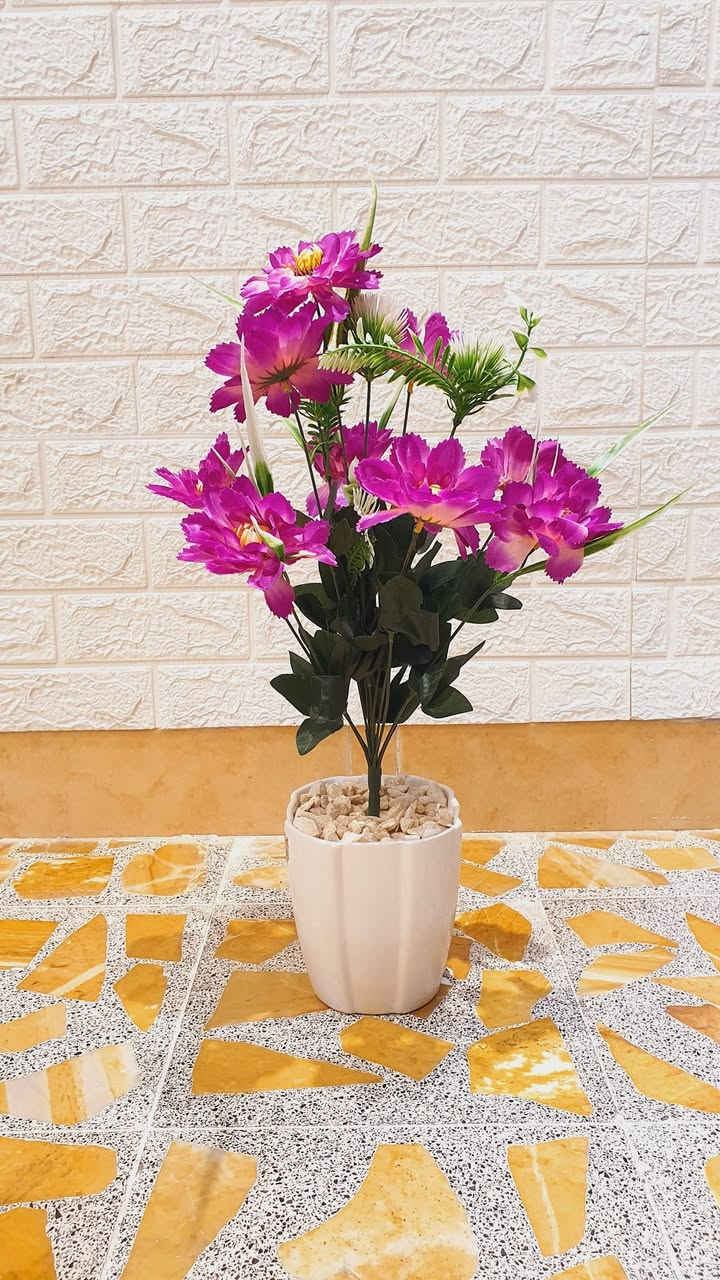 موديل جديد وسعر مناسب 🧡🧡


**إذا كنت صاحب هذا الإعلان وتريد حذفه لأي سبب، رجاءا أرسل رسالة إلى الدعم الفني**