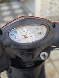بريز ببغاء • جديده • كفاله