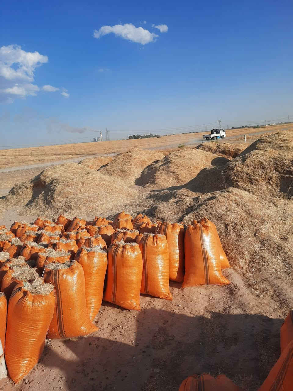 يوجد تبن درجة اولى تبن مال السنة تبن نظيف فول ترس درجة اولى الزوج 2500بل مكان يوجد خدمة توصيل لجميع المحافظات***********

