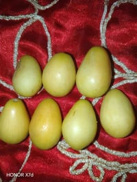 تطعيم السدر • خادم رقمي • النجف