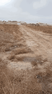 قطعة ارض للبيع سند ٢٥ المساحة دونم ونص  العنوان الجعارة شارع الكامرات ...