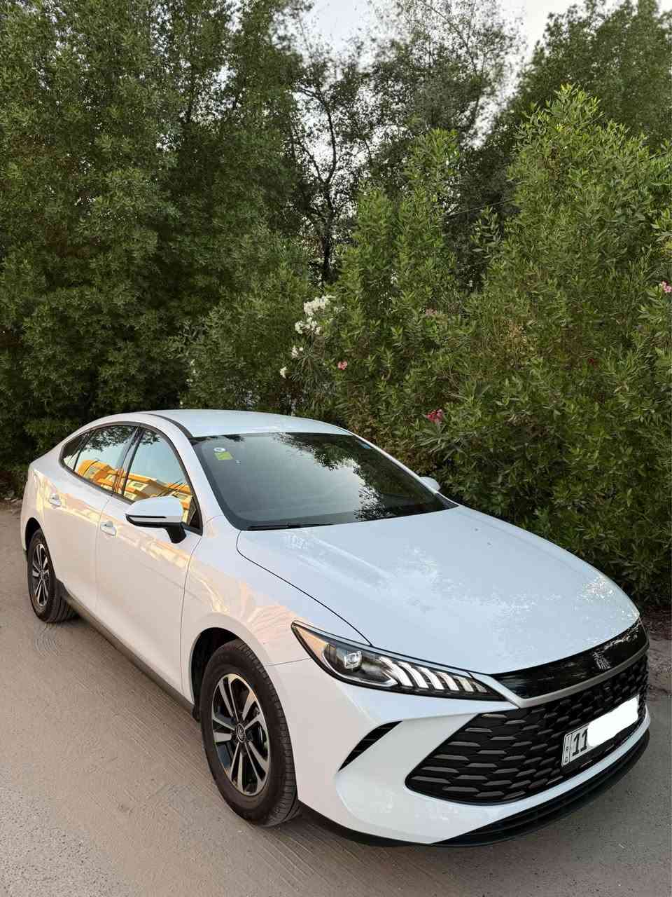 للبيع BYD QIN PLUS موديل 2025 نسخة ويل كروم مو العادية 
ماشيه ٧٠٠ كيلو فقط على المحرك والكلي ٣ الاف فقط 
على وضع الشركة زيرو 
داخل زيتوني جلد. دوشمة جلد. تبريد قطعتين. تشغيل عن بعد. تفويله تمشيك ٢١٠٠ كيلو 
جميع الملحقات كارت + شاحنة + مثلث وفوم طوارئ 

السعر ١٩,٧٠٠ وبيهه مجال للشراي

العنوان بغداد الدورة شارع ٦٠ 
الاتصال على الرقم
 *********** يوجد واتساب بغداد, العراق
