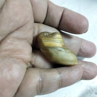 عقيق • نادر • شكل حذاء