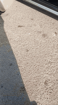 ام جي مراوس موديل ٢٢ كفاله ***********
