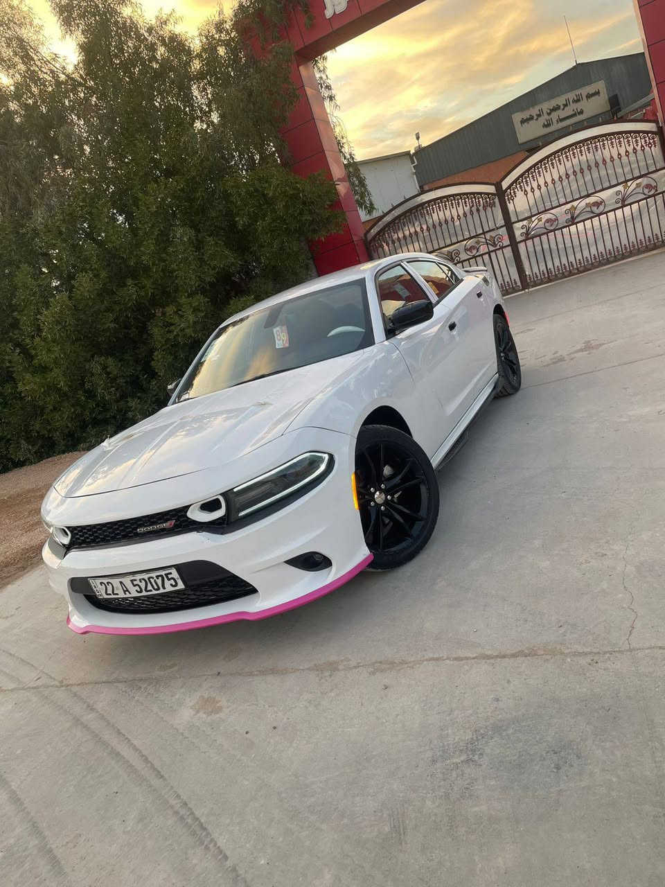 جاجر 15 البيع بيه 5 قطع صبغ مراوس بيع ترهم  بابل مكانه ***********
