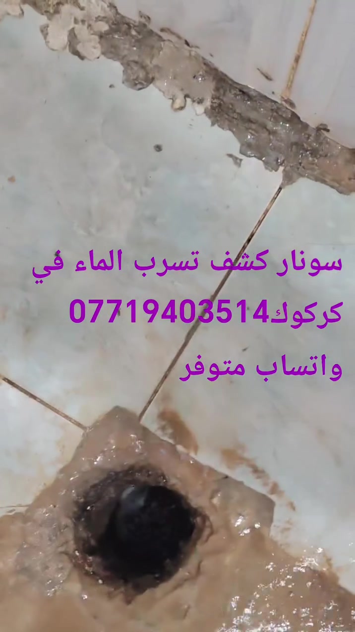 سونار كشف تسرب الماء في كركوك ***********
فتح كافة المجاري في كركوك ***********
متوفر تنكر سحب مياه ثقيله 
#كركوك
#فتح_كافة_المجاري
#تنكر_سحب_المياه_الثقيلة
#كشف_تسرب_الماء
#سونار_كشف_التسرب
#البوري_المكسور
#مجاري_كركوك
#خدمات_كركوك
