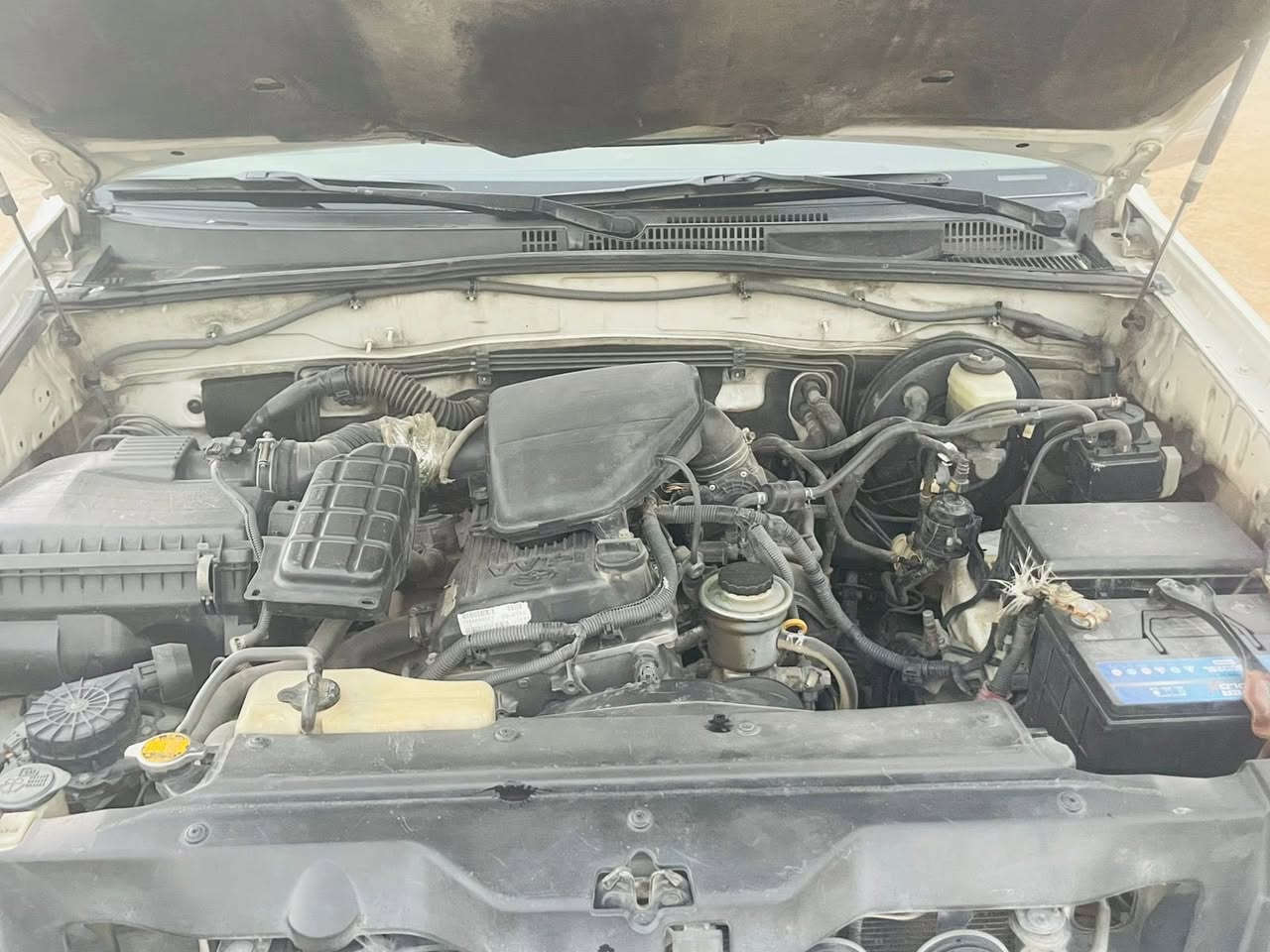 سلام عليكم برادو موديل 2008سياره خير من الله 
تبريد 3قطع ثلج 
صدره حيل نضيف 
كير مكينه خير من الله لا تنقيص ولا تبخير 
كهرباياته كله شغاله 
شاشه +كامره
كشنات جلد 
جام كهرباء 
سعر 130
بيه مجال شي قليل 
بيه صبغ كم قطعه 
وبيه سونار من ابو غيث
بيه تكشير 
اني موضحه كلشي بل صور واذا اتريد فديو هم موجود
***********
***********
مكانه الفلوجه
