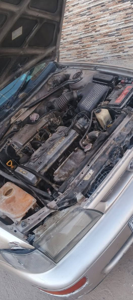 كورلا1991 للبيع رقم نجف انكليزي تحويل ثاني يوم
بيها خيط بخار السياره السياره نضيفة مابيها عوزها نواقص قليلة مبينة بل صور السعر 52 وبيها مجال
المكان النجف الاشرف. الرقم***********
