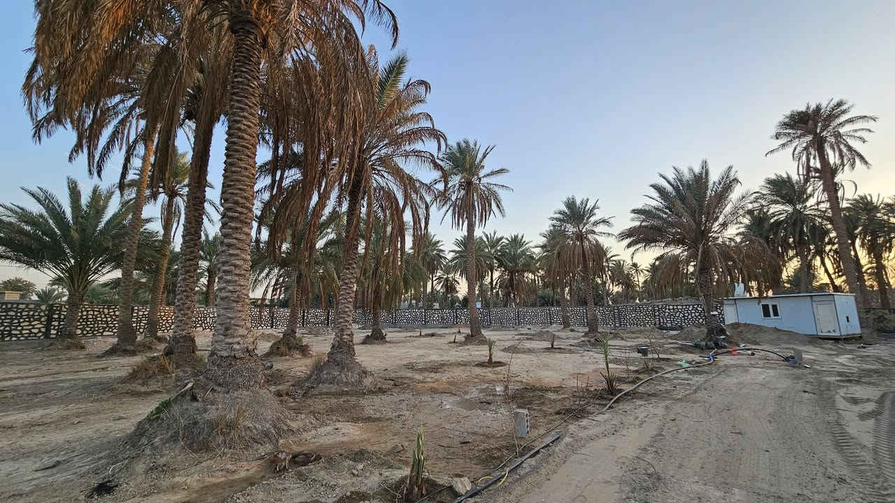 موقع مثالي في كربلاء💯
✅️دونم للبيع واجهه 30 م
وجه على التبليط مباشر 
طابو سند 25 تحويل بالطابو 

✅️الموقع كربلاء - منطقة الزبيلية
شارع ام البنين قرب فيلا العامرية 
يبعد من مركز مدينة كربلاء 9 كم 

💰السعر 250 مليون عقاري كربلاء 

📞إتصل الآن ***********
