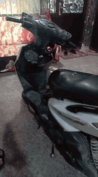 داجه سكنس فحل دراجه مستعمله الكفرات الخلفيه نضيفه الاماميه تعبانه ويحتاج الها دكمه سلف المكينه خير من الله 
السعر : 450 الف 
العنوان : بغداد المدينه قرب سوق الكياره 
للتواصل : *********** خابر او واتساب.
