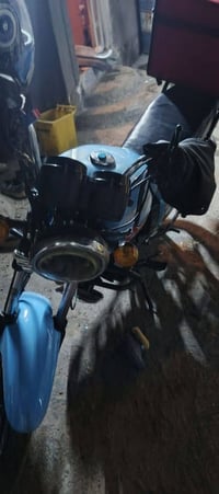 ماد ماكس • دايون • أوراق سكنر