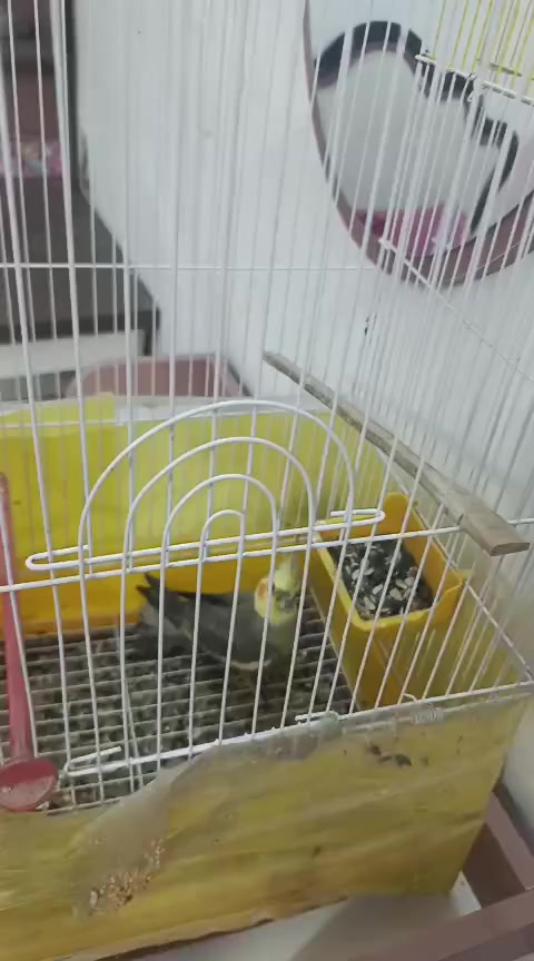 م
يز طعام125 وكاونتر 250


**إذا كنت صاحب هذا الإعلان وتريد حذفه لأي سبب، رجاءا أرسل رسالة إلى الدعم الفني**