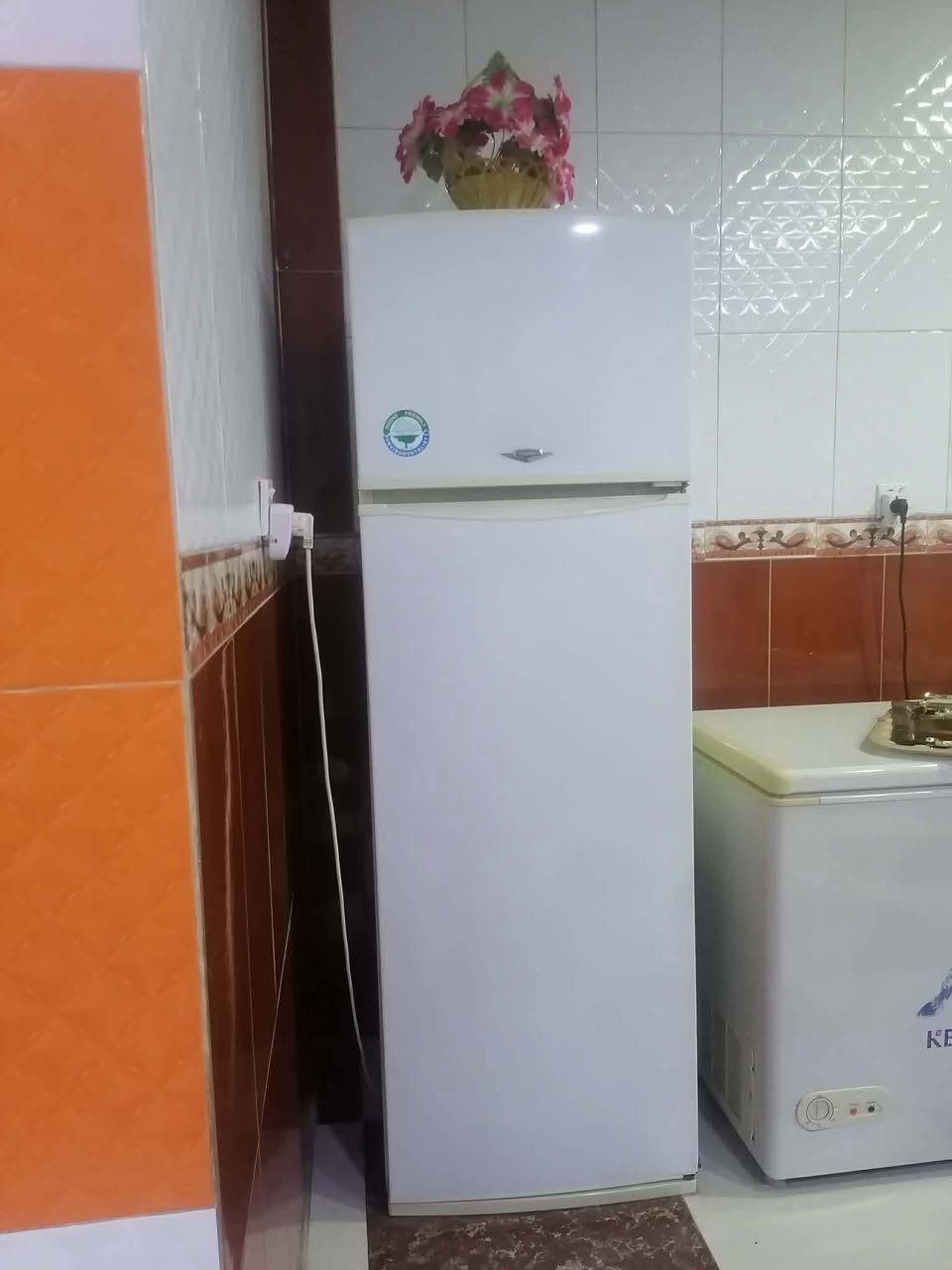 مكلفه بالنشر 

 غساله حجم كبير سعرها 100 وثلاجه ب 150 وفرن ب 25 وميز ستيل وجام ب 15 وميز طعام مع 6 كراسي ب 100 و بايسكل ب 50 وميز بلازمه عدد 2 الواحد ب 30 وماسحه بخاريه عالكهرباء ب 18 الاسعار بيها مجال


**إذا كنت صاحب هذا الإعلان وتريد حذفه لأي سبب، رجاءا أرسل رسالة إلى الدعم الفني**
